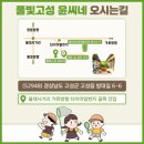 고성하얀나무집 | 풀빛고성 윤씨네 꿀팁 촌캉스 숙박 후기