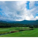 동강시스타 골프장 이미지