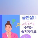 정연초 네이버블로그