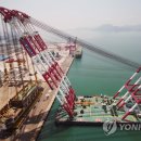 floating Crane 이미지