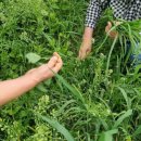 속초1리 마을회관 이미지