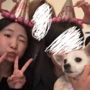 참숯구이양갈비랑꼬치랑 이미지