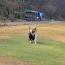 아오스파크골프클럽 번개라운딩 임곡 늘푸른파크골프장 2025.03.25