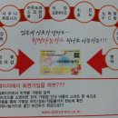 보은상록대추
