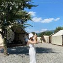 오투글램핑 이미지