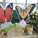 둔산대로 이미지