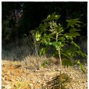 북캠프지오 이미지