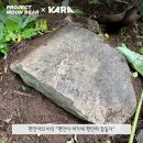 편안농장 이미지