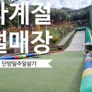 (합)소백산관광 | 충북단양 가족여행 5, 6일차 사계절썰매장, 만천하스카이워크, 알파인코스터