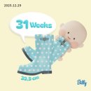 크게열린약국 | 임신 31주 32주 초음파 자궁경부 길이 증상 몸무게 정기검진