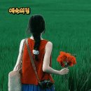 부산조방앞의야경 이미지