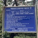 대림운동장 화장실 | 대림운동장 방문후기(주차장이용방법)