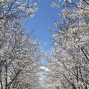 혜성사우나 이미지