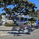 홈플러스(주)울산동구점 | 울산 동구 주전동 신상 솔마레 내돈내산솔직후기 오션뷰 카페