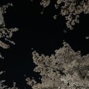 율하광장 반계공원 이미지