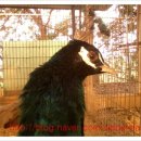 파랑새휴게소 이미지