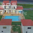 더스테이 골드독 이미지