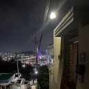 스테이동주