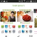 천사꽃농원 이미지