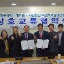 법인자연 이미지