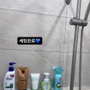 양스짐 이미지
