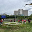 메디체크 이미지