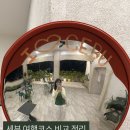 신전권역 | [세부 가족여행] 세부 여행코스(모알보알·막탄·오슬롭·보홀·세부시티) 비교 정리
