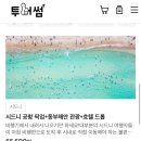 [호주시드니여행]블루마운틴+페더데일 동물원+시닉월드 즐거웠던 투어썸 여행사 후기/ 집합장소 가는 법