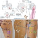 장강(長强)-GV1 이미지