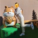 강릉앤솔 이미지