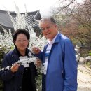 참소리축음기박물관 이미지