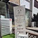 코알라멜로우 이미지