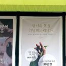 올가스킨 네이버블로그