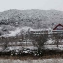 산동-1 Daum카페
