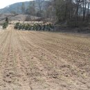 바우찹쌀농장 이미지