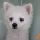 우리애동물병원 이미지
