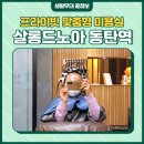 살롱드노아 - 김포시 | 살롱드노아