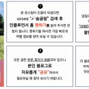 침산골프연습장 이미지