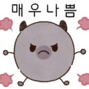 미세잎 이미지