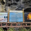 제주 김녕굴 및 만장굴 이미지