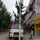 태권도거성체육관 이미지