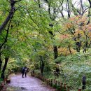 읍내로6번길 이미지