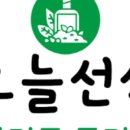 오늘선식