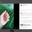 렌디네일