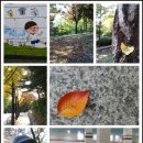 수정구청소년수련관 이미지