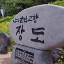🏕]여수관광스케치🏕 [전국명소탐방29] / 예술의섬 장도,낭도.여수엑스포역 이미지