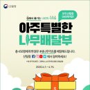 나만의나무
