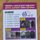 큐사랑(동두천지행점)
