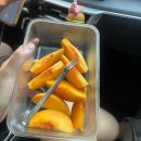은솔정 | 2026 여름방학🐠
