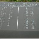 푸른감(푸른感) 이미지